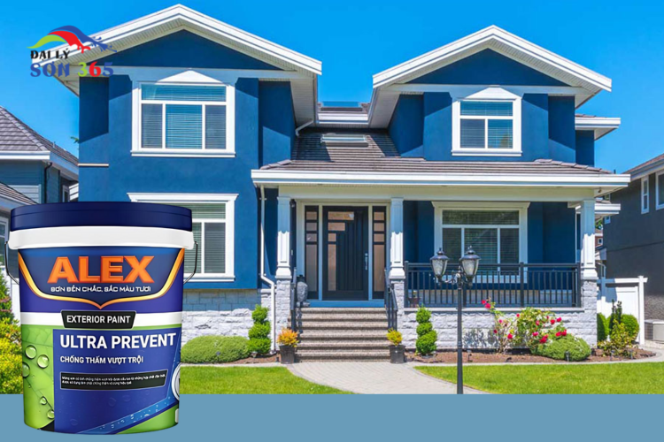 Tổng Hợp Kiến Thức Cơ Bản Về Sơn Nhà Ai Cũng Nên Biết tại đại lý sơn 365