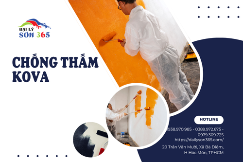 Chống thấm Kova tại đại lý sơn 365