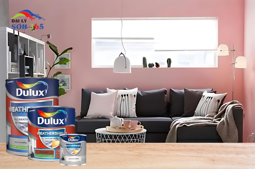 Những Lưu Ý Quan Trọng Trước Khi Thi Công Sơn Tường tại đại lý sơn 365