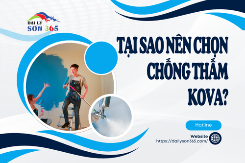 Chống thấm Kova tại đại lý sơn 365