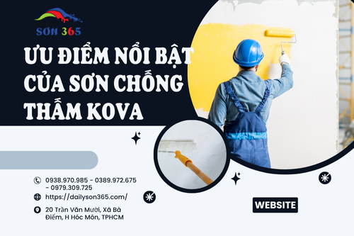 Chống thấm Kova tại đại lý sơn 365